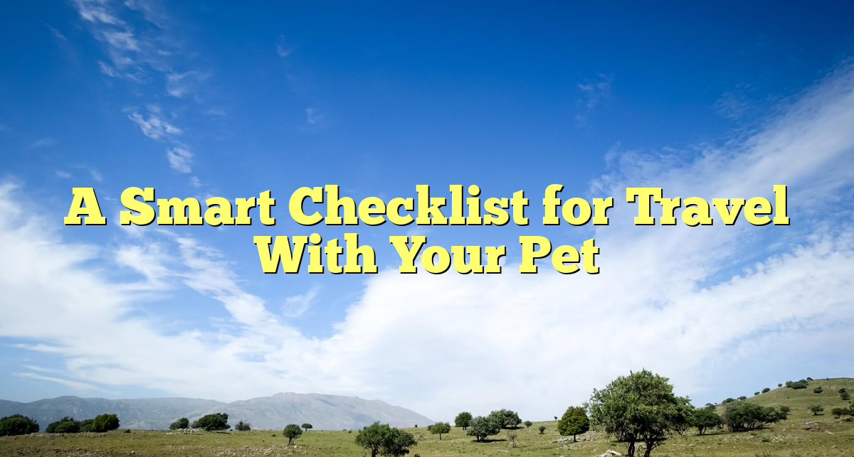 A Smart Checklist for Travel With Your Pet
