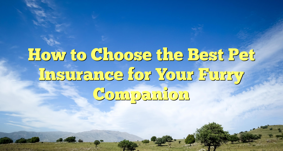 How to Choose the Best Pet Insurance for Your Furry Companion