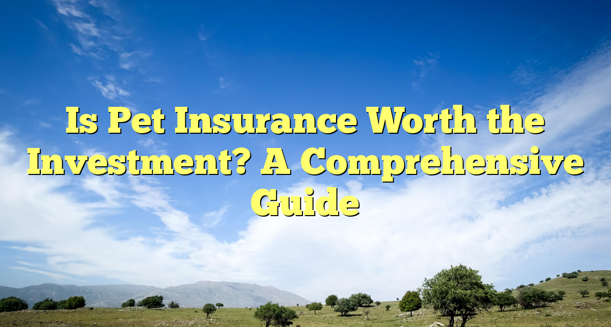 Is Pet Insurance Worth the Investment? A Comprehensive Guide