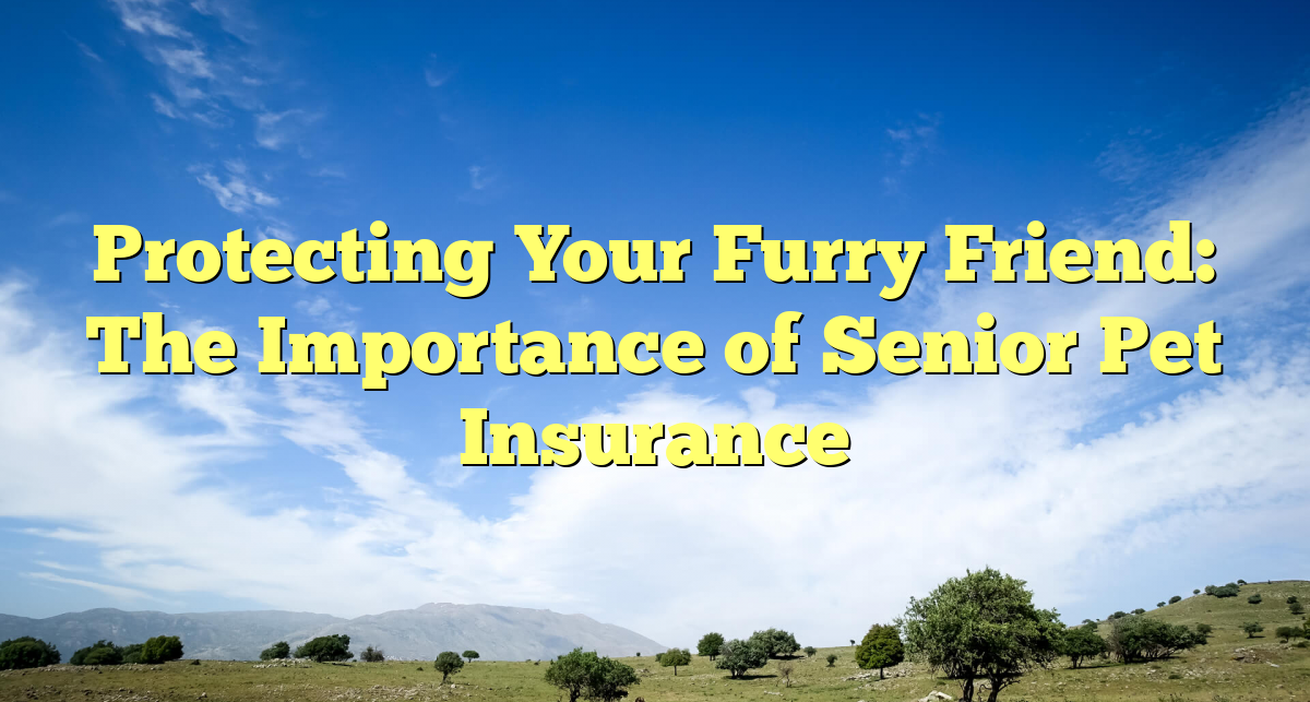Protecting Your Furry Friend: The Importance of Senior Pet Insurance