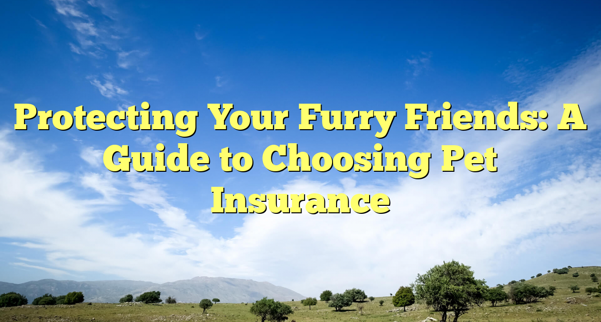 Protecting Your Furry Friends: A Guide to Choosing Pet Insurance