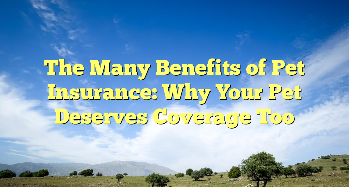 The Many Benefits of Pet Insurance: Why Your Pet Deserves Coverage Too