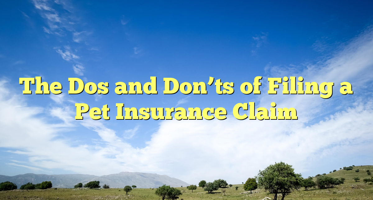 The Dos and Don’ts of Filing a Pet Insurance Claim